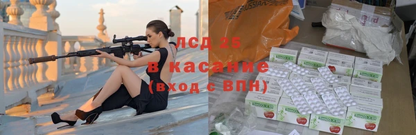 индика Абаза