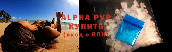 индика Абаза
