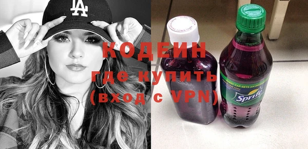 индика Абаза