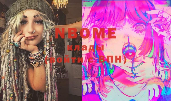 индика Абаза