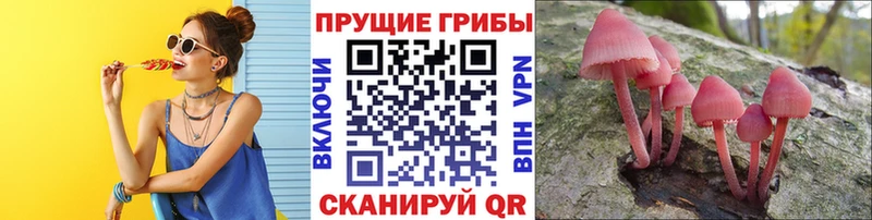 Псилоцибиновые грибы прущие грибы  Алдан 